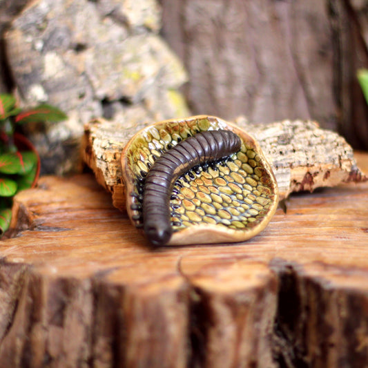 Trinket Dish NO. 3743