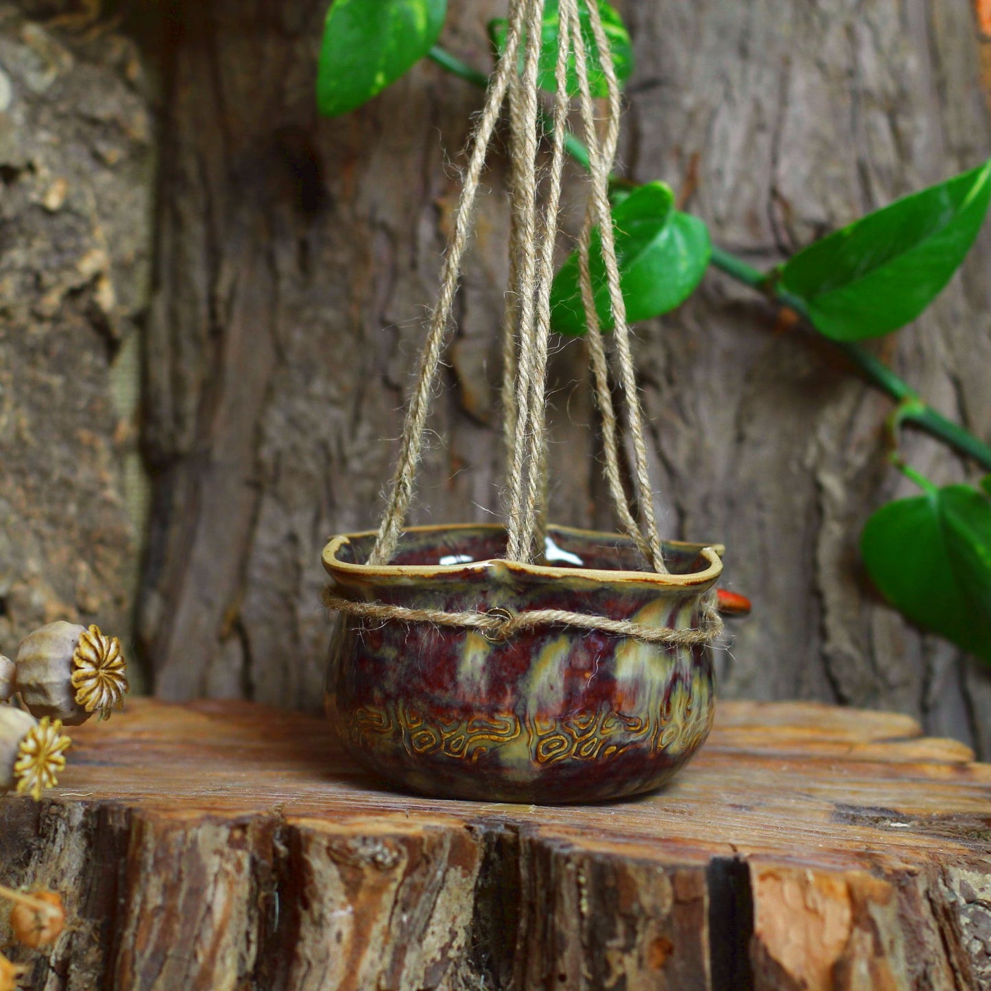 Mushroom Hanging Plant No. 3275