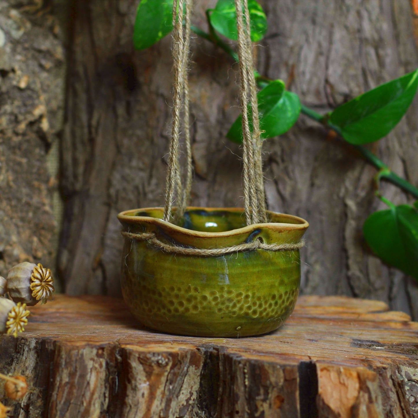 Plant hanger with mushroom no. 3276