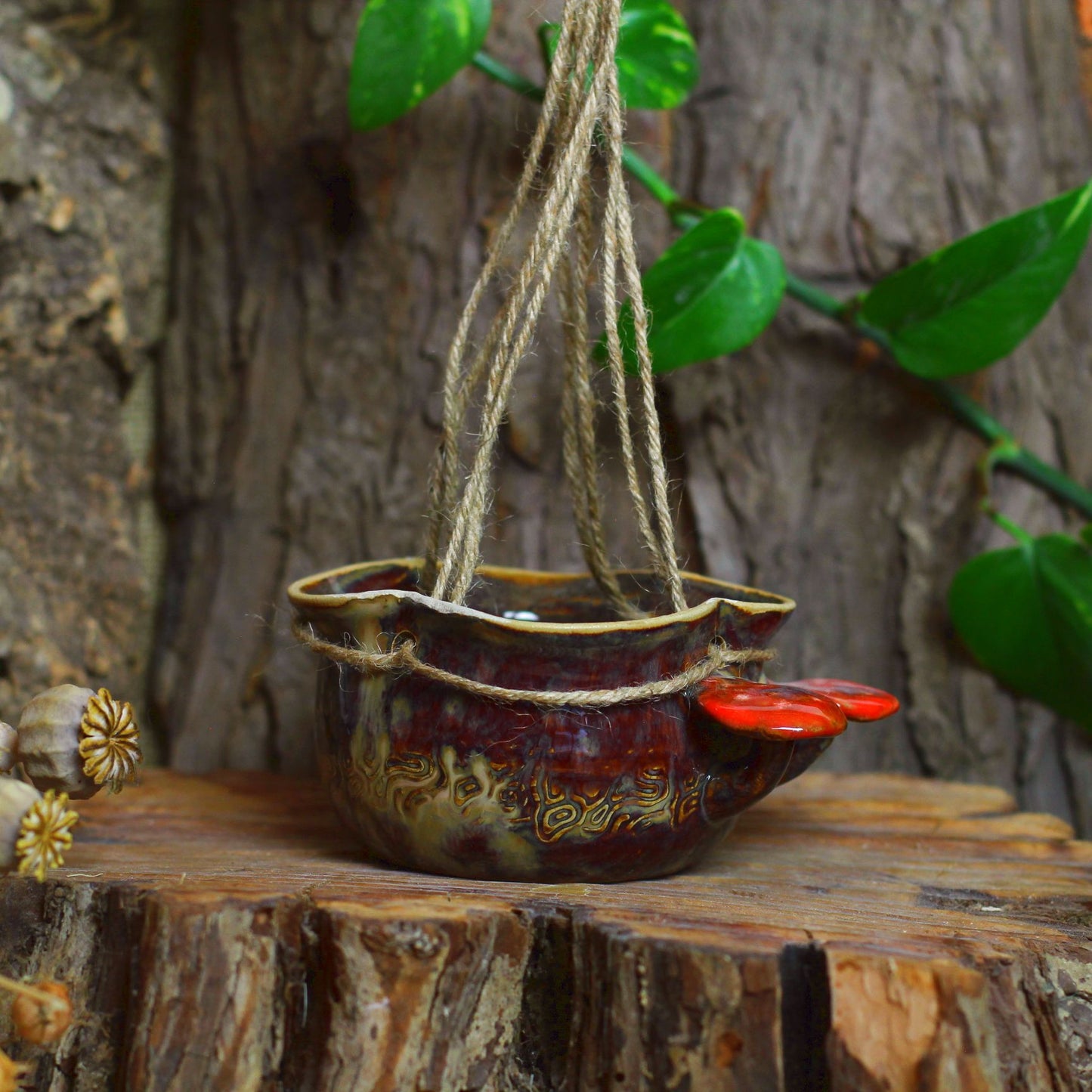 Mushroom Hanging Plant No. 3277