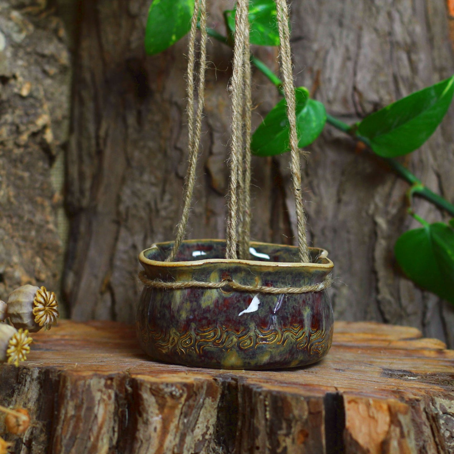 Mushroom Hanging Plant No. 3278